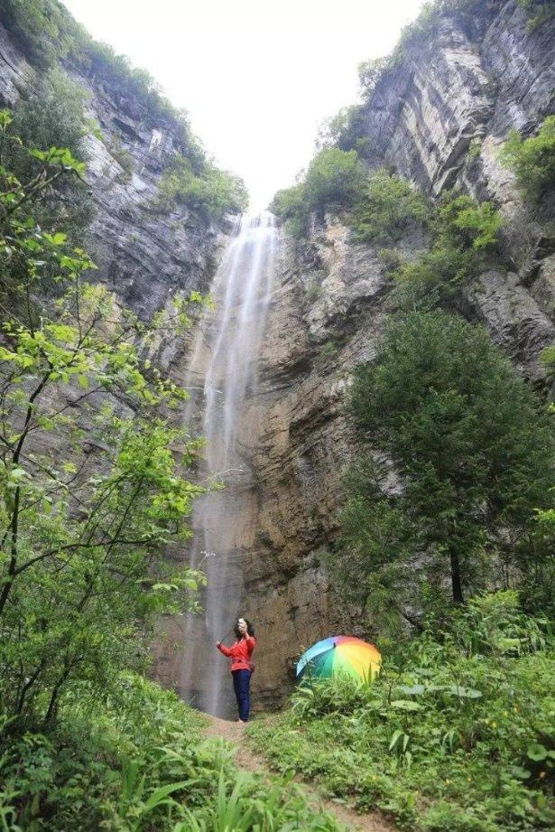 虫虫助手下载